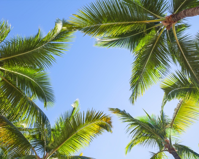 The Three Corners Rihana Resort El Gouna